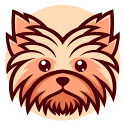 The Yorkies Lense