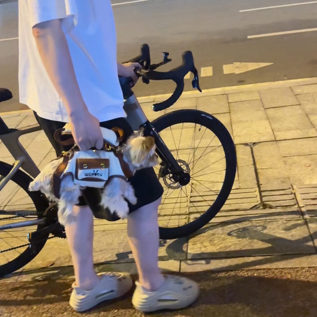 Hands-Free Shoulder Yorkie Carrier