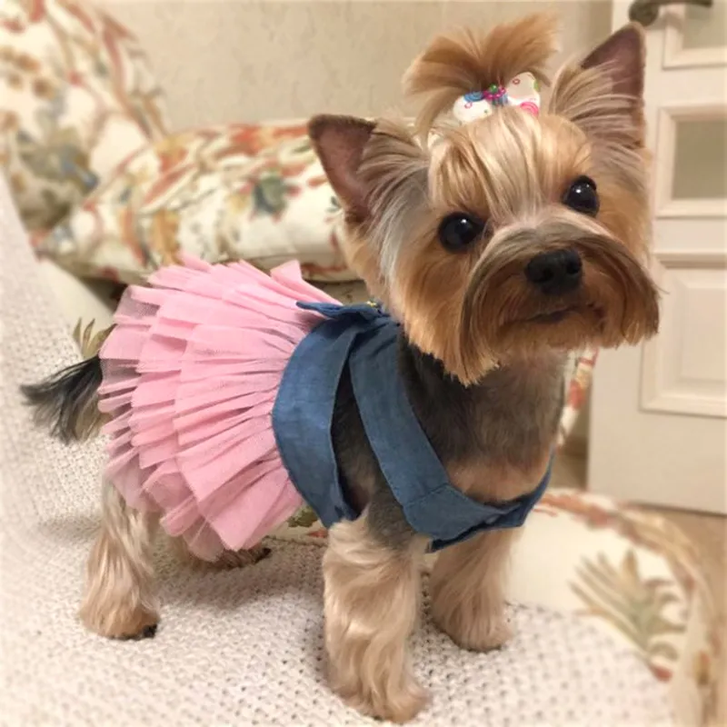 Yorkshire Terrier Princess Dresses